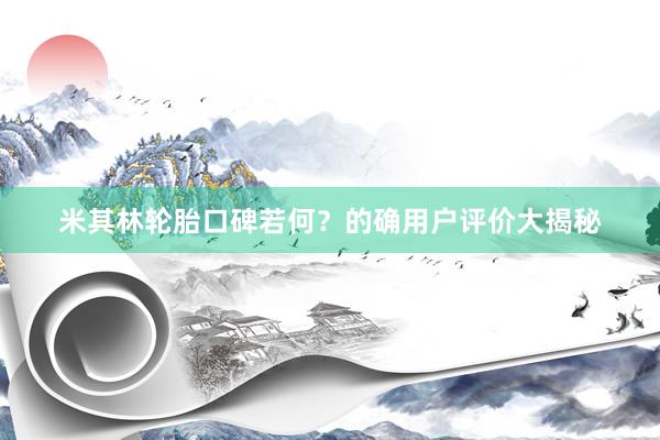 米其林轮胎口碑若何？的确用户评价大揭秘